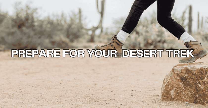Prepare for Your Desert Trek