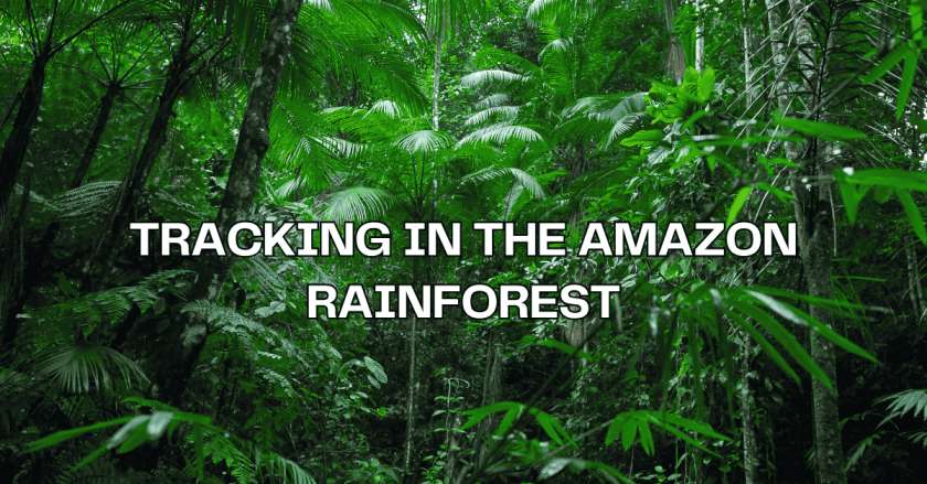 Wildlife Tracking Adventures